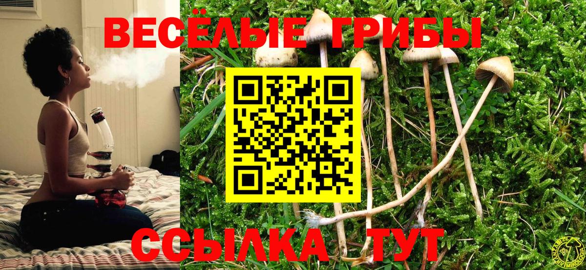 ГАШ  НБОМе  Вход с VPN  Каннабис  A-PVP СК кристаллы  Ликино-Дулёво  Как найти наркотики?  Меф   ГАШИШ 