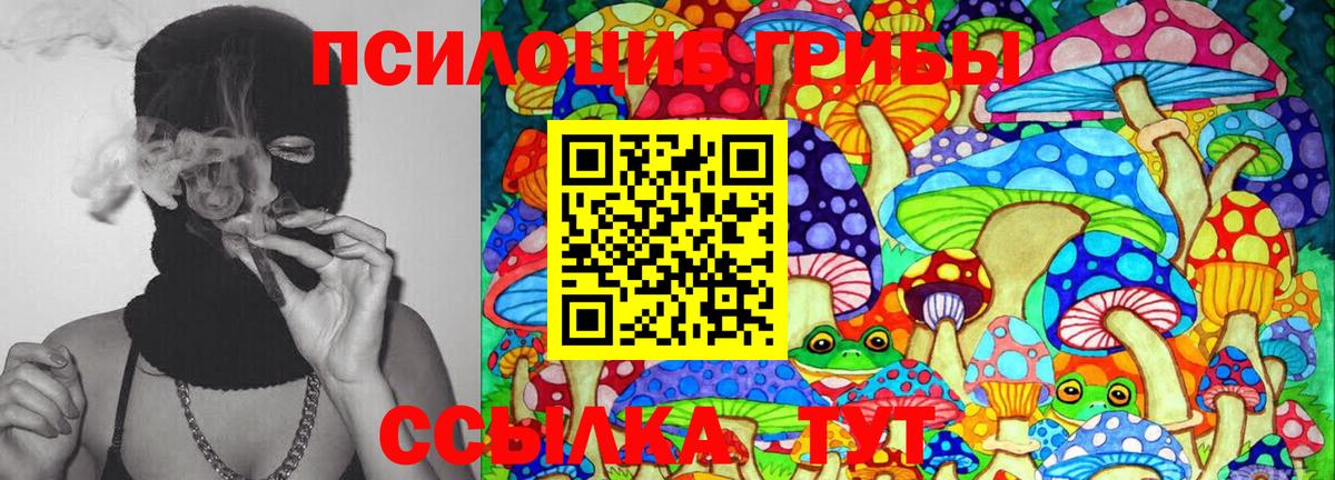 Галлюциногенные грибы мухоморы  Псилоцибиновые грибы прущие грибы  Ликино-Дулёво  Вход с VPN 